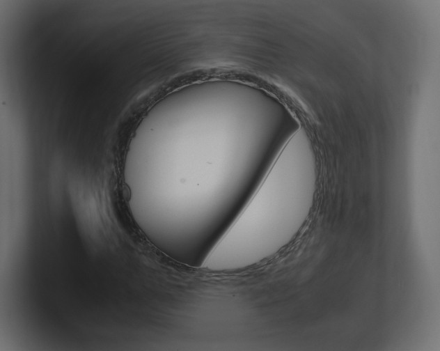 X0000101190967200806270844