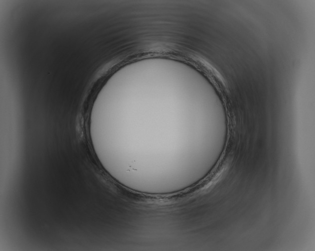 X0000101190970200806270844