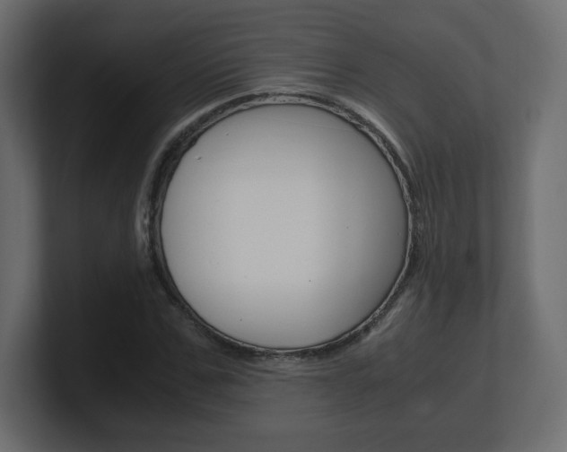 X0000101190971200806270844
