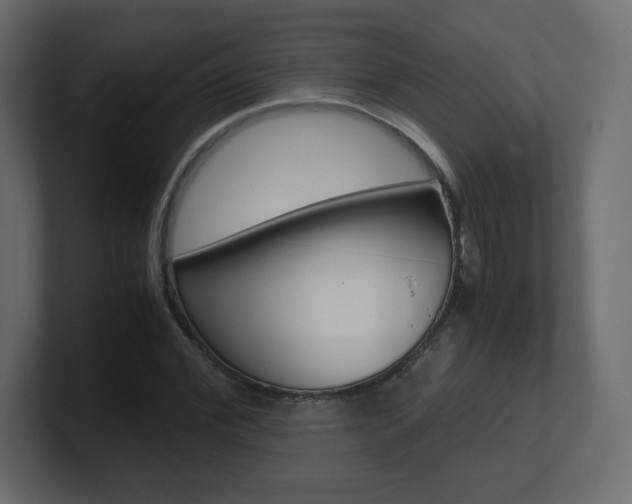 X0000101190972200806270844