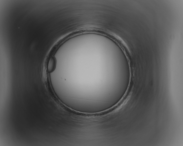 X0000101190973200806270844