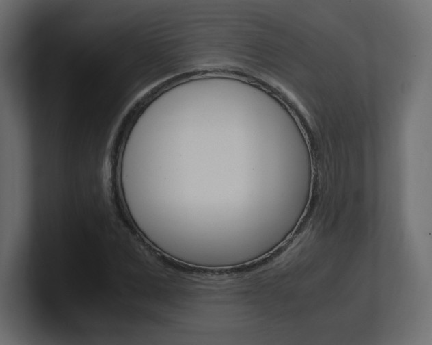 X0000101190975200806270844