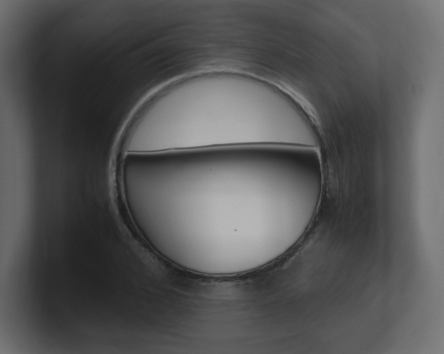 X0000101190976200806270844