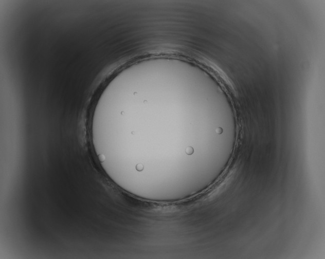 X0000101190978200806270844