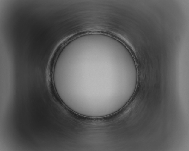 X0000101190979200806270844