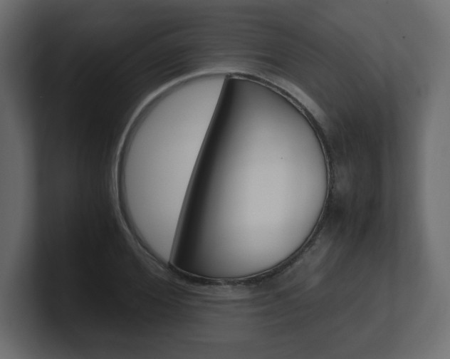 X0000101190980200806270844