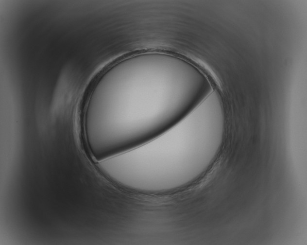 X0000101190983200806270843