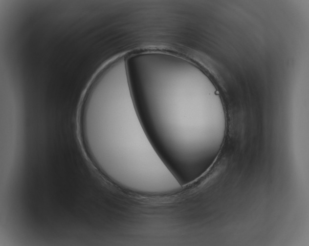 X0000101190984200806270843