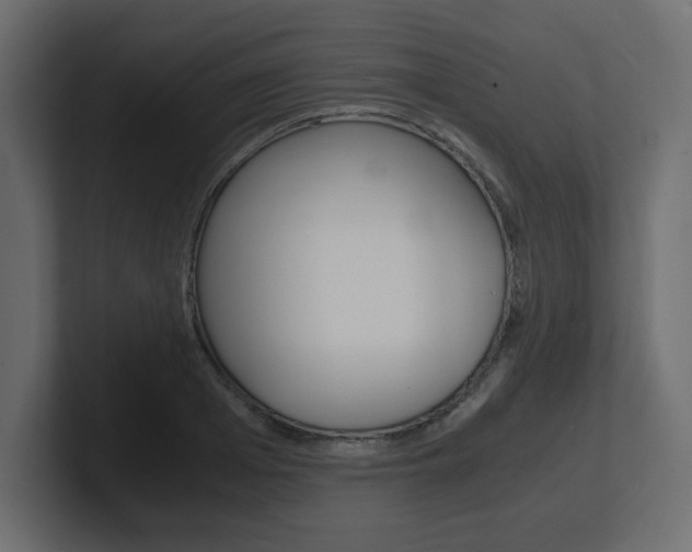 X0000101190985200806270843