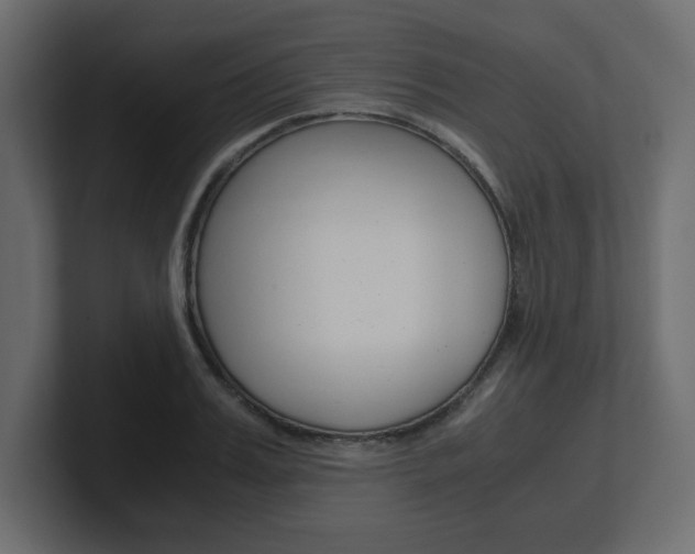 X0000101190987200806270843