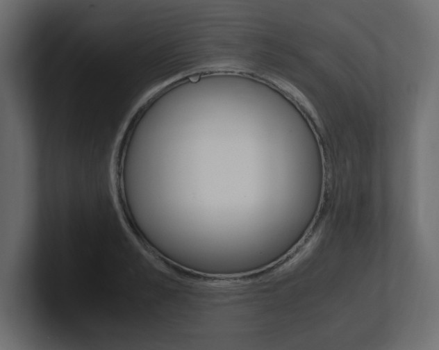 X0000101190989200806270843