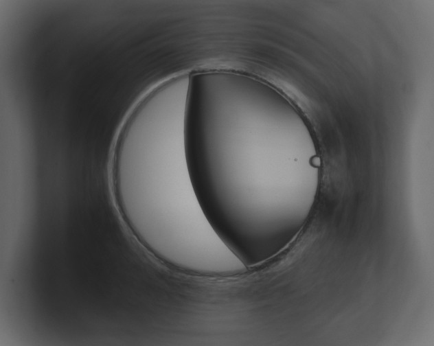 X0000101190992200806270843