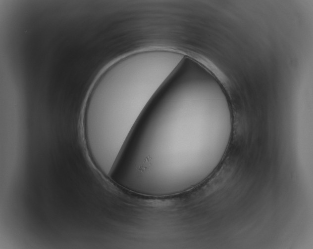 X0000101190996200806270843