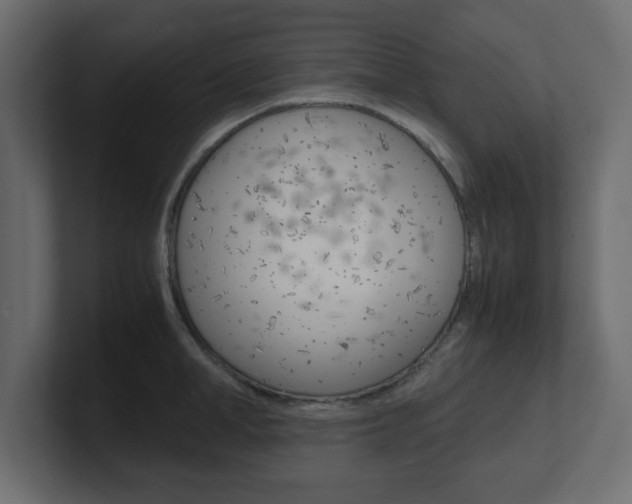 X0000101190998200806270843