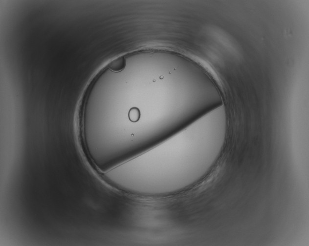 X0000101190999200806270843