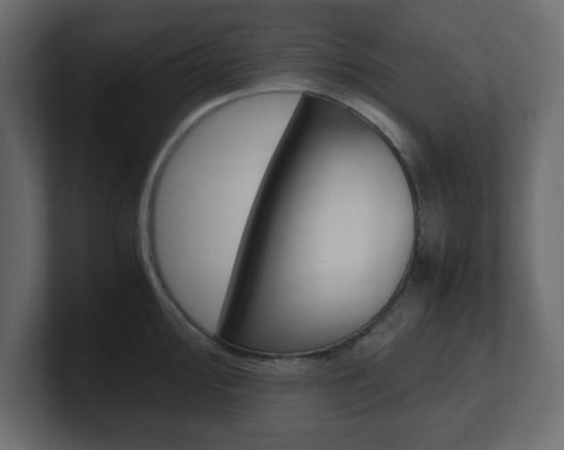 X0000101191000200806270843