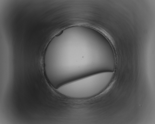 X0000101191001200806270843