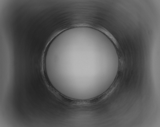 X0000101191002200806270843