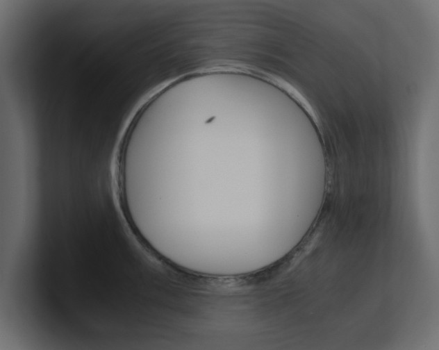 X0000101191003200806270843