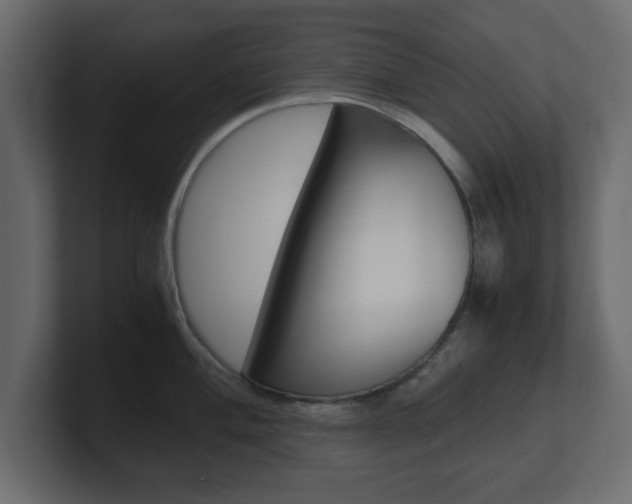 X0000101191004200806270843