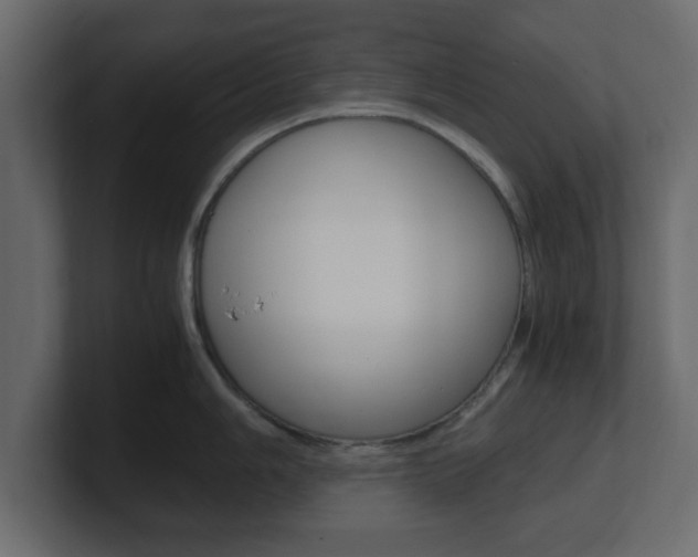X0000101191006200806270843