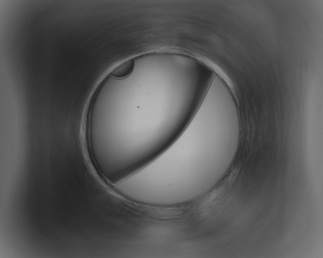 X0000101191007200806270843