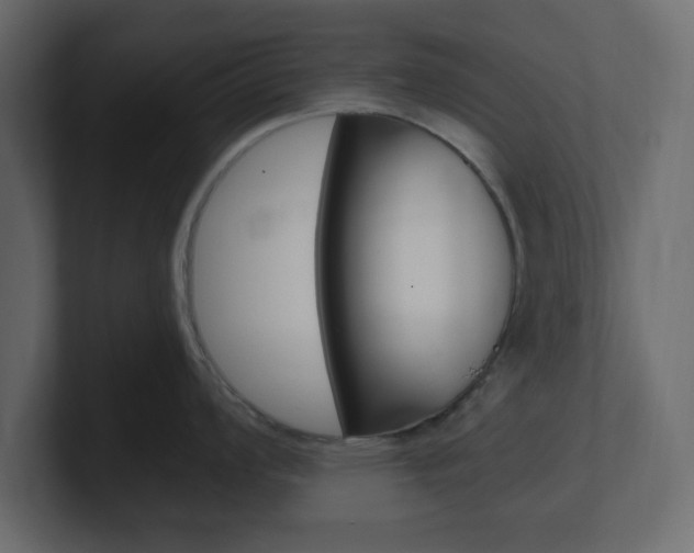 X0000101191008200806270843