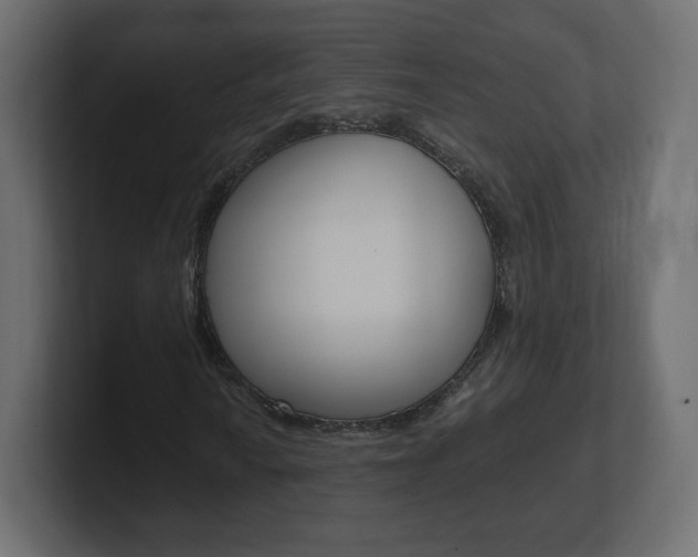 X0000101191010200806270843