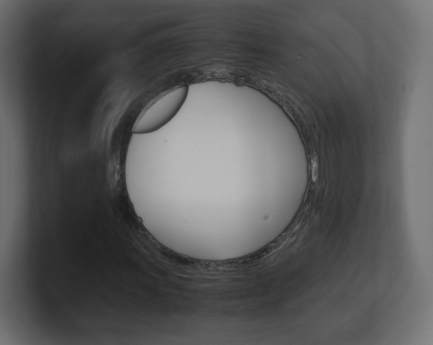 X0000101191011200806270843