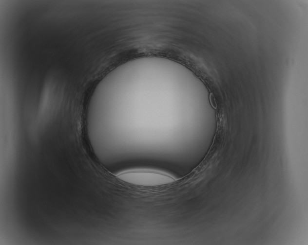X0000101191012200806270843