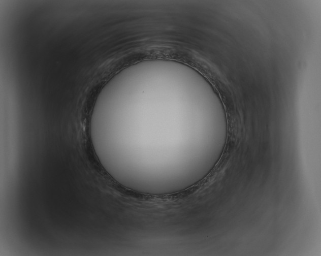 X0000101191013200806270843