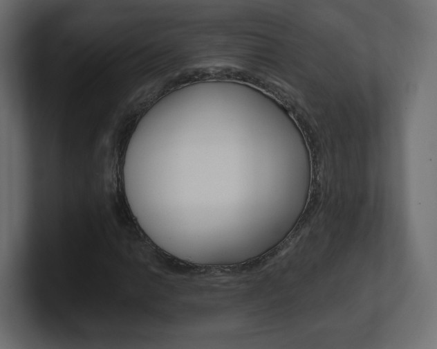 X0000101191014200806270843