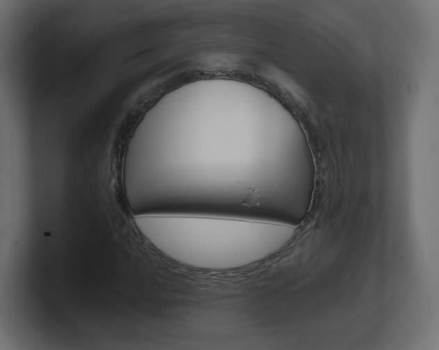X0000101191016200806270843