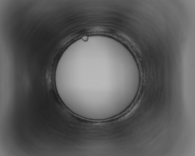 X0000101191017200806270843