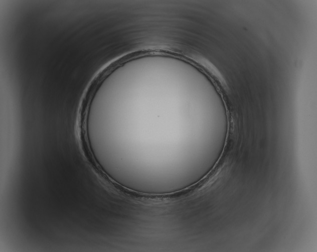 X0000101191020200806270843
