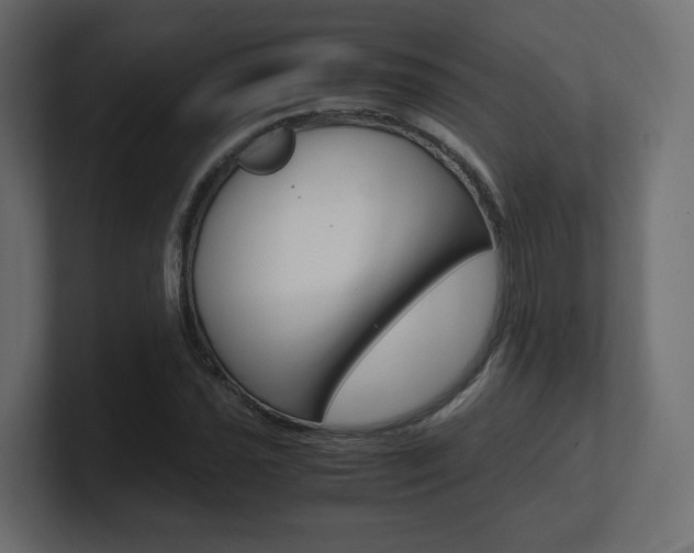 X0000101191021200806270843