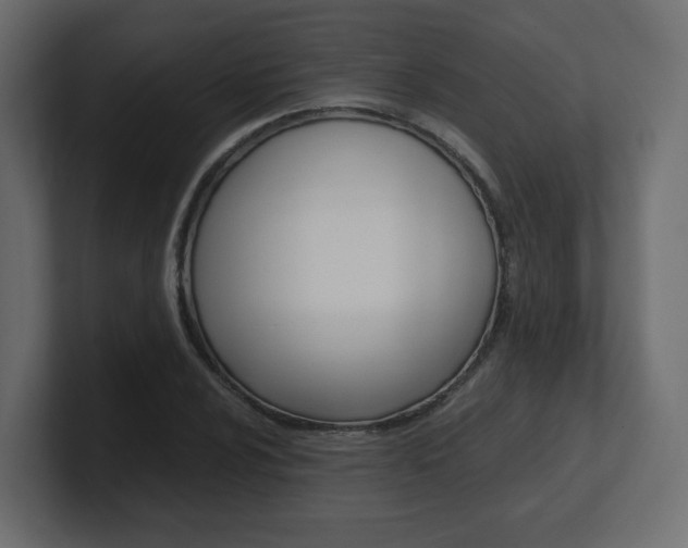 X0000101191024200806270843