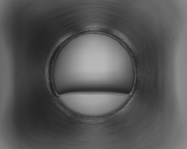X0000101191026200806270843