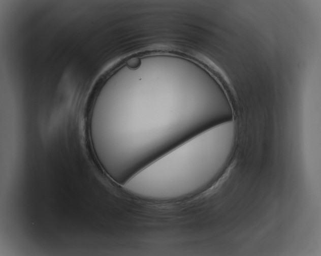 X0000101191029200806270843