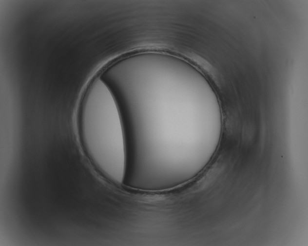 X0000101191030200806270843