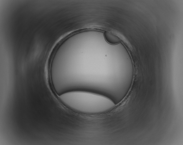 X0000101191032200806270843