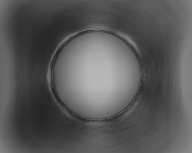X0000101191040200806270843