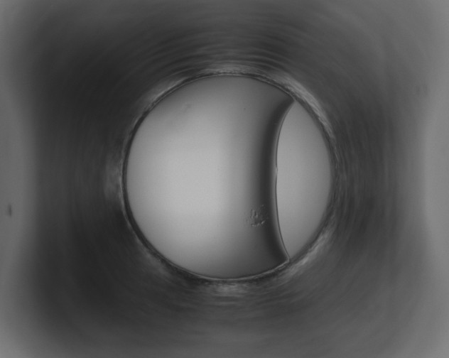 X0000101191041200806270843