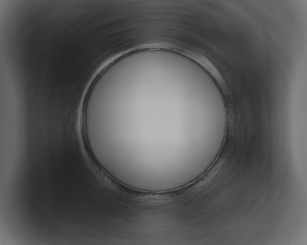 X0000101191044200806270843