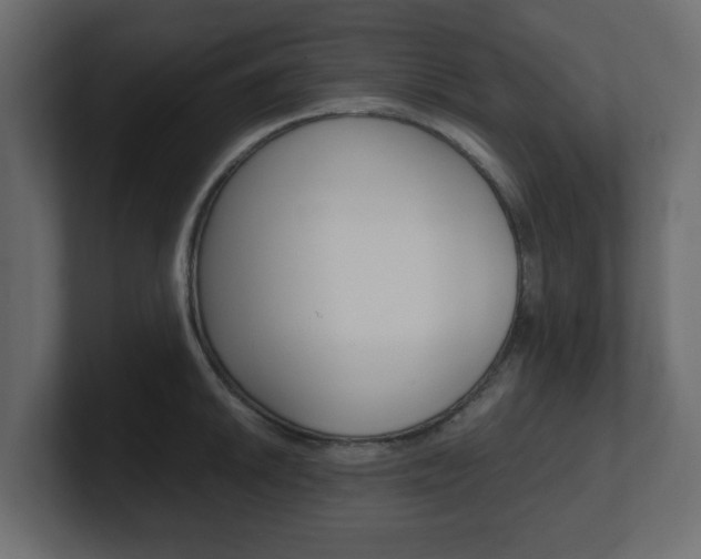 X0000101191046200806270843