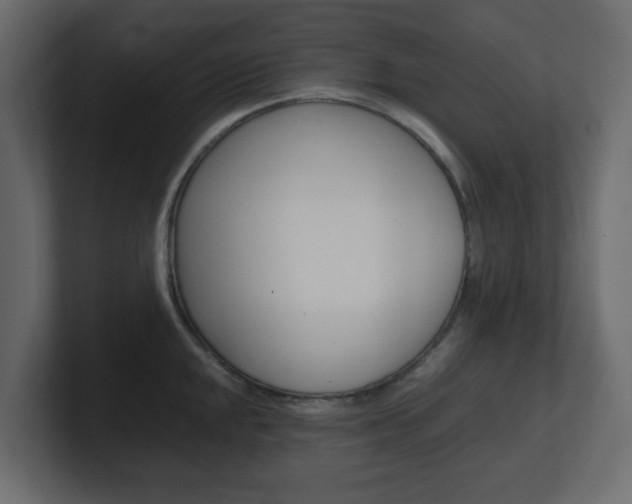 X0000101191048200806270843