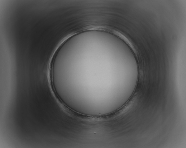 X0000101191050200806270843