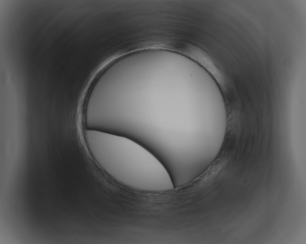 X0000101191051200806270843