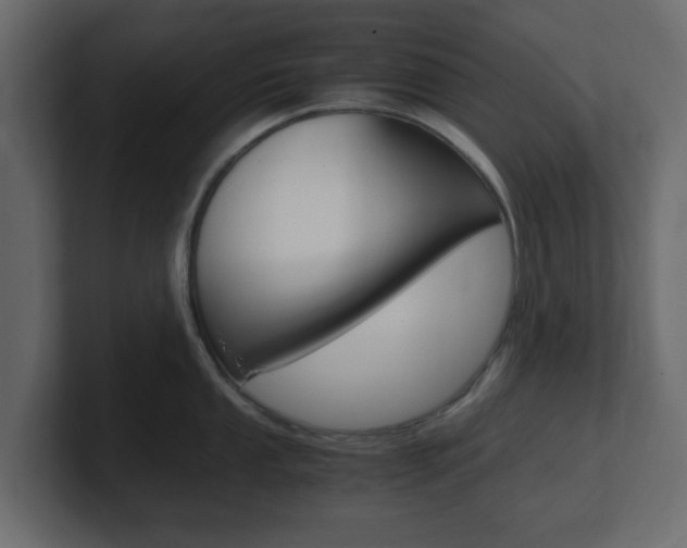 X0000101191053200806270843