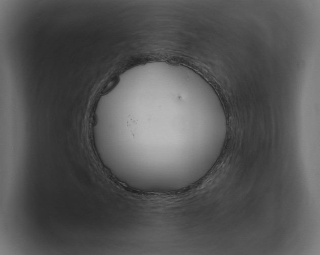 X0000101191057200806270843